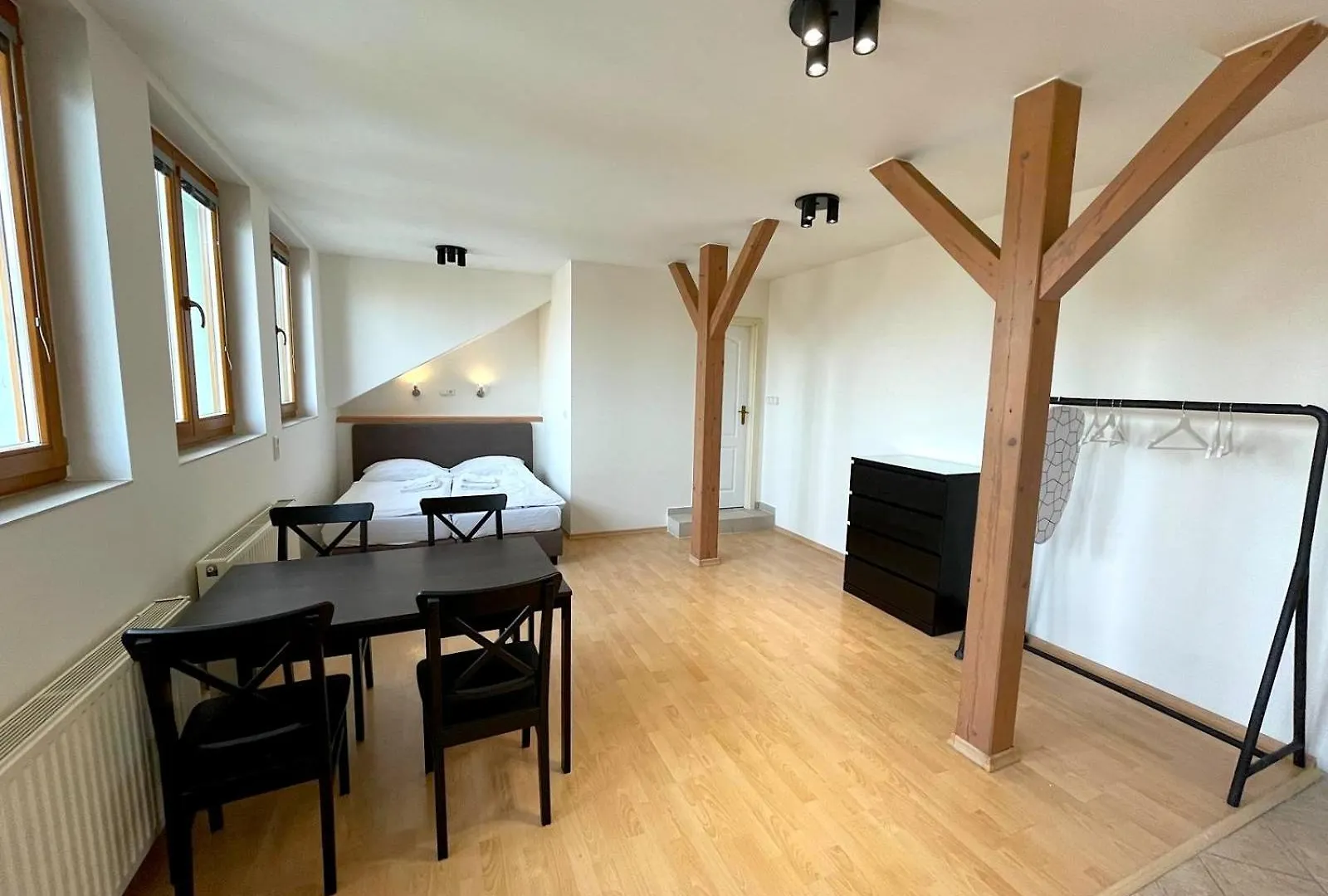 Katerina'S Downtown Apartments プラハ チェコ