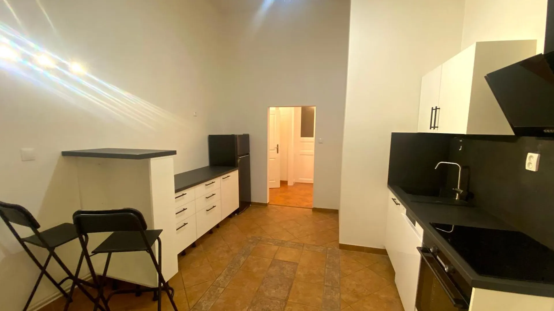 Katerina'S Downtown Apartments プラハ